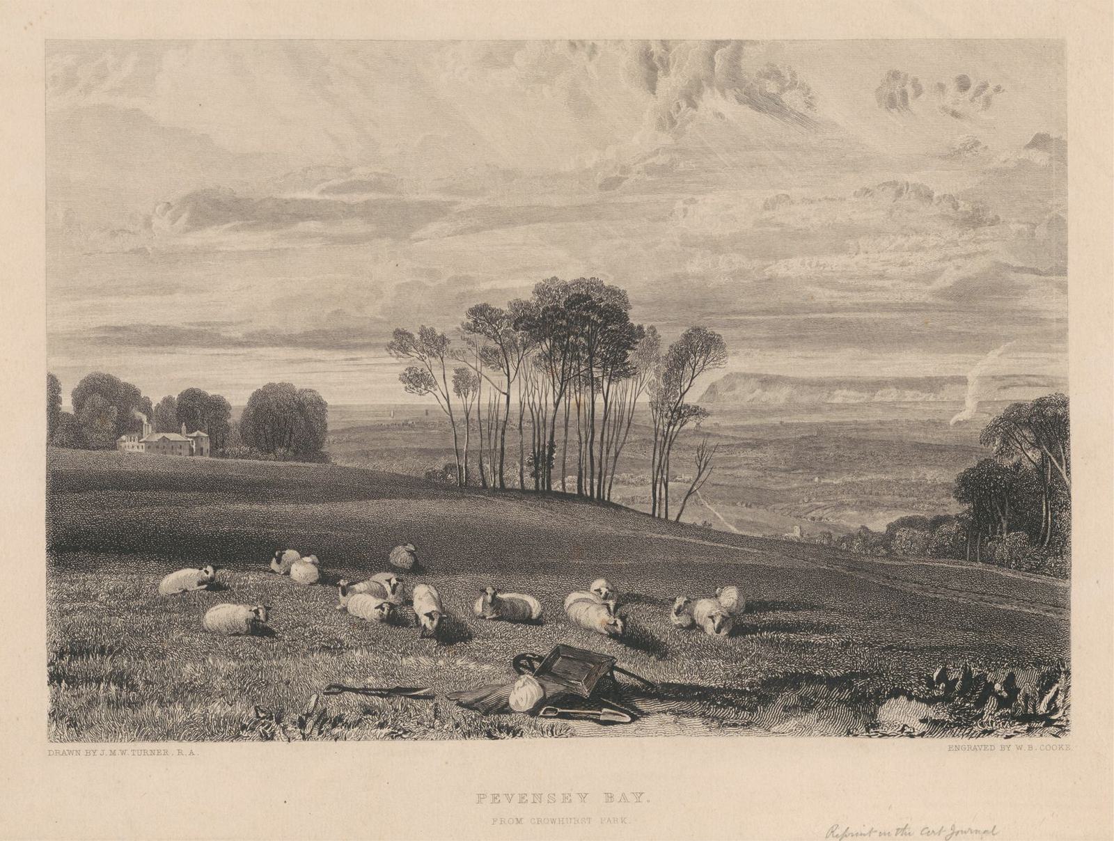 An engraving of sheep resting on a slope below a line of tall trees, with the flat coast of Pevensey Bay and the sea beyond.